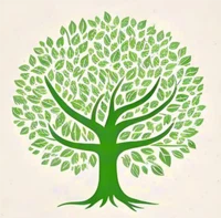 16mm Packaging Plywood