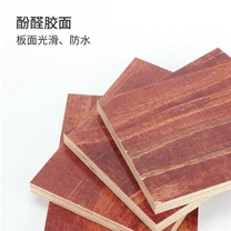 Placaj cu film negru de 12 mm